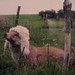 Valerie Renard Photo 2