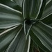 Robert Plante Photo 48