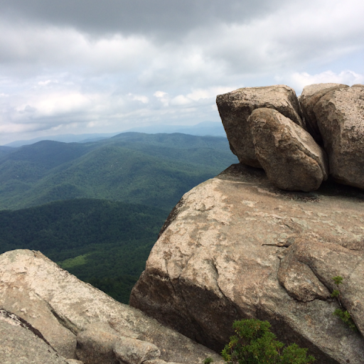 Carol Moran Photo 34