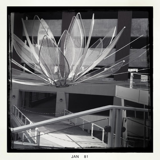 Andrea Wong Photo 32