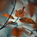 Mark Hildebrandt Photo 30