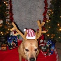 Sherry Riddle Photo 19