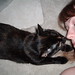 Leslie Lacy Photo 7