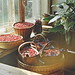 Sandra Ware Photo 24