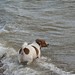 Leigh Morgan Photo 39