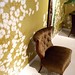 Holly Bernhardt Photo 11