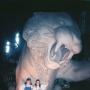 Jeanne Rogers Photo 30