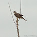 Kenneth Sharp Photo 17