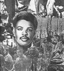 Donald Benjamin Photo 27