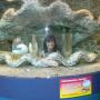 Brittany Bonner Photo 8