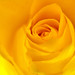 Rose Vargas Photo 26