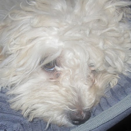 Charlie Rosales Photo 13