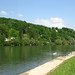 Carolyn Rife Photo 4