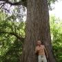 David Barton Photo 57