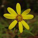 James York Photo 45