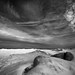 Lisa Webster Photo 24