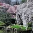 Christina Mcbride Photo 16