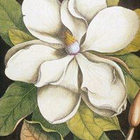 Louise Darling Photo 7