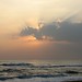 Dawn Larkin Photo 15