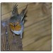 Robin Macklin Photo 5