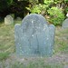 Martha Denison Photo 7