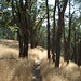 Todd Wilkinson Photo 41