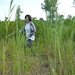 Patrick Dougherty Photo 34