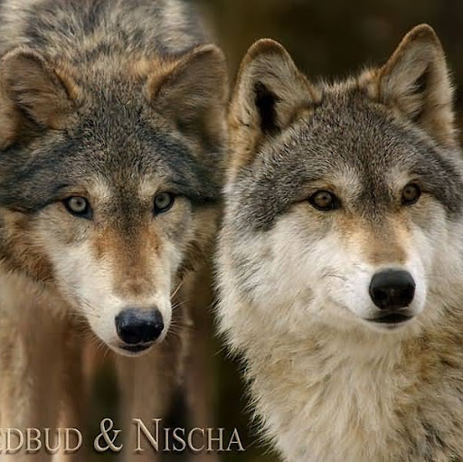 Kristina Edwards Photo 29