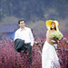 Viet Ha Photo 36