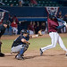 Steve Moss Photo 24