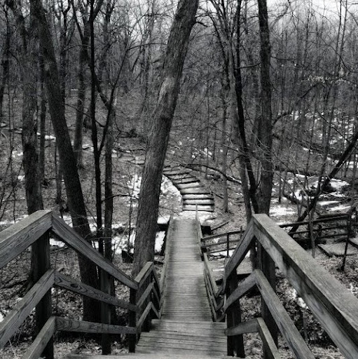 Jennifer Waldron Photo 6