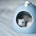 Debbie Ham Photo 33