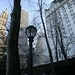 Janet York Photo 22