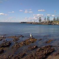 Bradley Kerr Photo 8