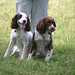 Emma Gent Photo 13