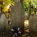Elizabeth Dewitt Photo 10
