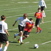 Steven Haines Photo 15