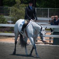Lynn Noel Photo 26