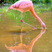 James Fontes Photo 24
