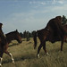 Mary Strom Photo 35