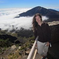 Susan Mcdonald Photo 43
