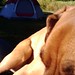 Amy Faulkner Photo 40