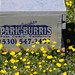 Jackie Burris Photo 7