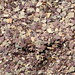 Katherine Lake Photo 26