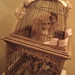 Connie Lowe Photo 33