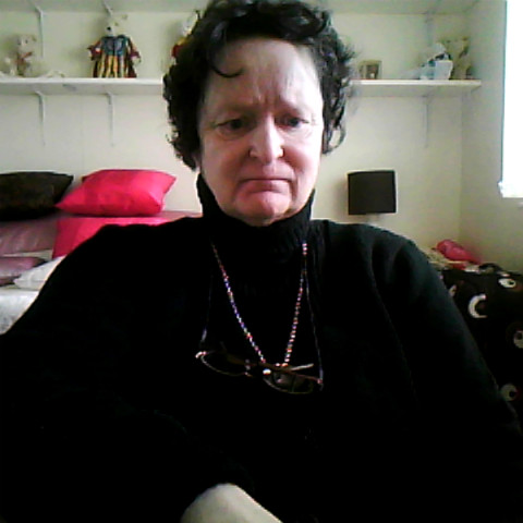 Susan Metcalf Photo 16
