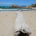 Rose Bowen Photo 11