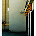 Lawrence Irvine Photo 9