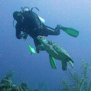 Mark Castillo Photo 11