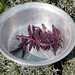 Allan Bean Photo 11